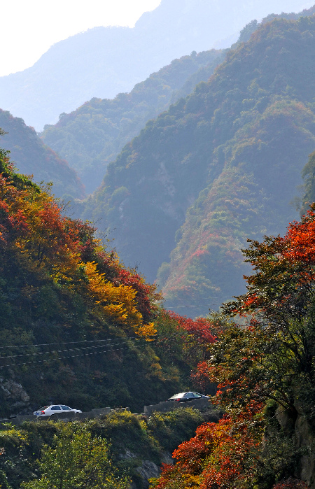 秦岭35个峪口实行全封闭或半封闭保护(组图)