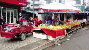 小区入口已摆满水果摊位.本报记者 陈维摄