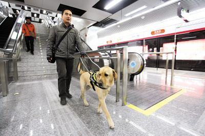 杭州导盲犬首次带领主人乘地铁(图)