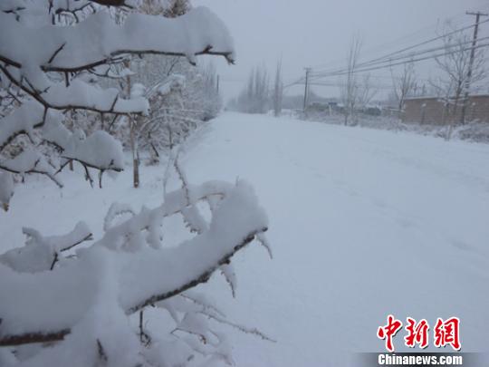新疆库尔勒迎来今冬第一场雪(图)