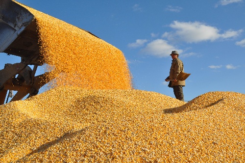 #(农业)(5)2012年全国玉米产量为20812万吨 成