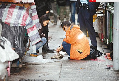 香港再现冷血变态"猫杀手"警方全力缉凶