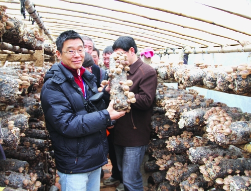 中国·西峡香菇国际高层论坛暨产销研见面会隆