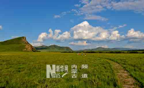 夏季的内蒙古西乌珠穆沁旗半拉山景区内,绿草青青,鲜花盛开,令游人