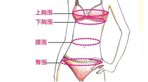 文胸品牌 胸罩尺寸(组图)