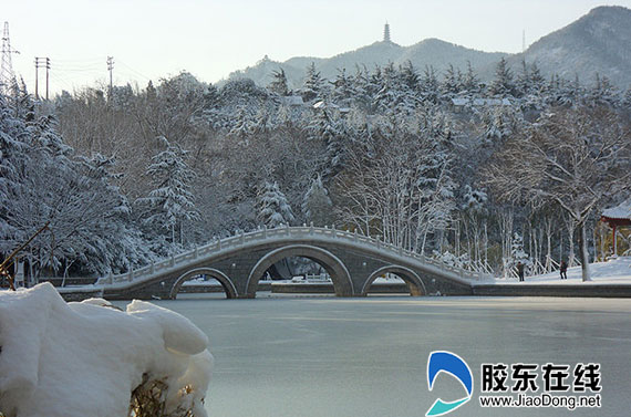 烟台大雪美如画(组图)