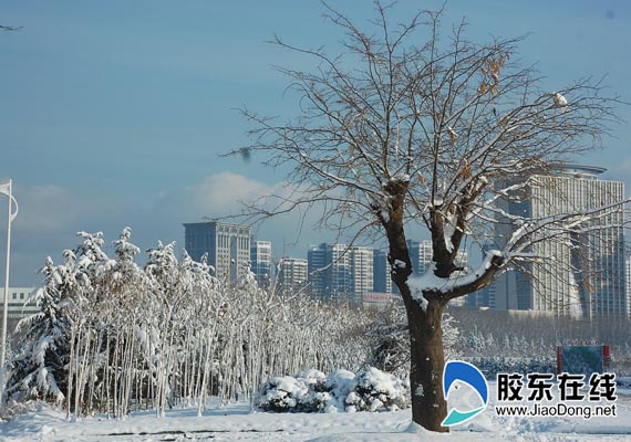 冰路湿滑事故不断 雪后烟台啥地方最滑(组图