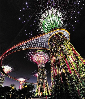 新加坡点亮超级树花园(图)
