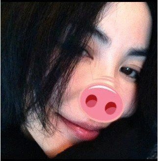 王菲戴猪鼻子搞笑自拍 天后扮丑引网友热议(图)