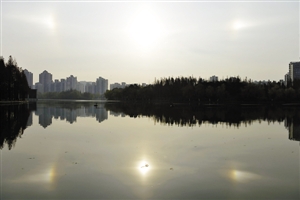 上海天空10日上午出现罕见的3个太阳