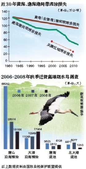 东方白鹳栖息地丧失专家呼吁建自然保护地法规