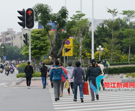 只看车不看"灯" 斑马线"任我行"   行人是道路交通不可或缺的组成