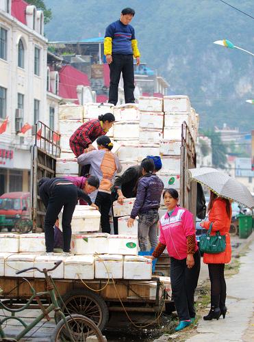 越南80年代经济总量_越南经济图片(2)