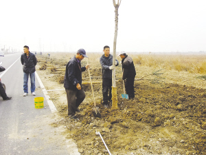 本报讯(通讯员 管健 范长久)为深入贯彻落实西青区造林绿化工作