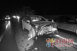 重庆轿车高速路行驶撞上野猪 车头完全撞毁(图)