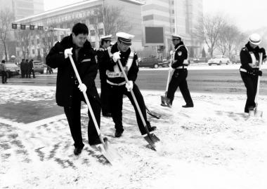 雪中一簇簇橙白相间的身影(组图)