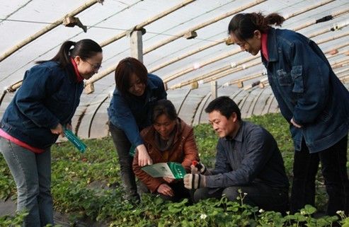 南乐县电业局:让企业和客户更近更贴心(组图)