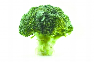 美国贝勒医学院研究人员日前报告说，西兰花等十字花科蔬菜中含有丰富的天然化合物萝卜硫素，它能在实验室环境中杀灭白血病癌变细胞。