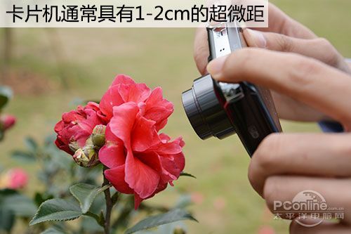 对单反相机来讲，能够通过微距镜头或者长焦镜头达到类似的效果，不过毕竟多了一道工序，并且，两类镜头的价格也挺高。