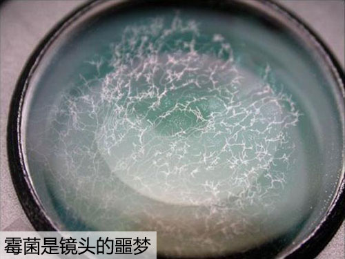 想要结束上面种种忧虑吗？马上拿起电话订购一台卡片机吧，不要五位数，不要四位数，只要998，只要998，你就能拥有一台主流的卡片机，从此开始惬意的摄影人生。