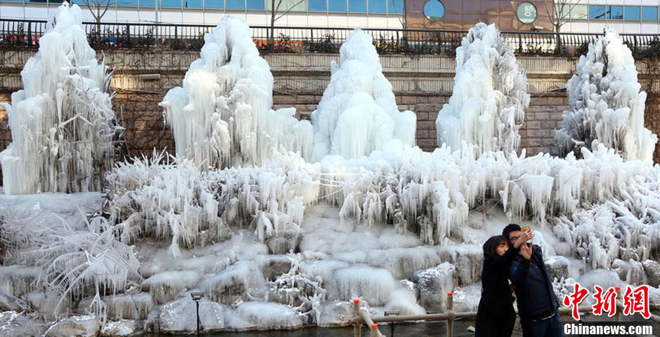 韩国迎来入冬最冷一天 首尔街头树木变成冰雕