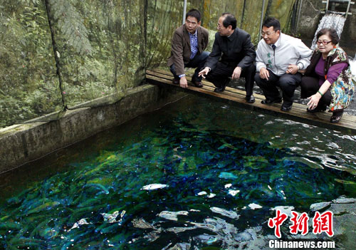 郭绍成台湾考察两岸合作海水养殖项目