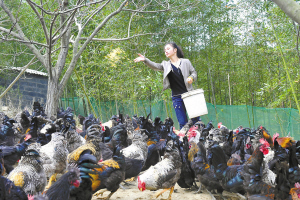 杭州为大学生村官、社区工作者发展探索新途径