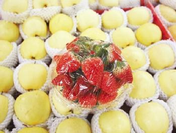 杭州哪个水果批发市场和蔬菜批发市场在一起-