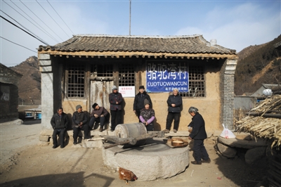 2012年12月31日，河北省阜平县骆驼湾村，村民在村口晒太阳、磨黄豆。本版摄影/新京报记者 侯少卿