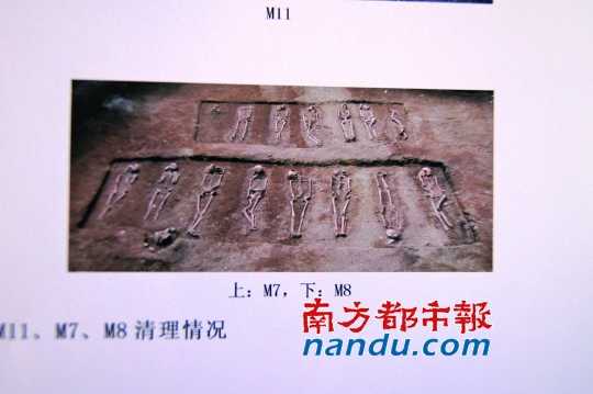这是埋有疑似远征军遗骸的M7（上）/M8（下）墓葬。