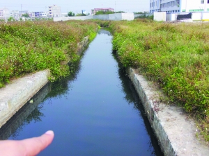 原本用来灌溉的水渠如今却成了湘威公司的专用排放废水通道.