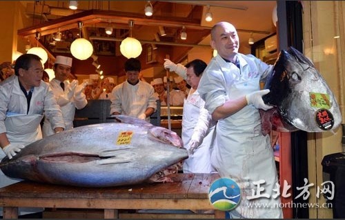 日拍卖史上最贵金枪鱼 180万美元天价让人震惊