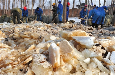 昨天，山西潞城，天脊集团员工在收集被苯胺污染的冰块。本报记者徐晓帆摄