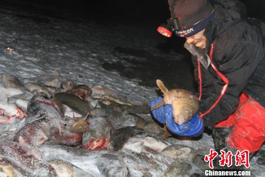 中国最大内陆淡水湖撒下新年冬捕第一网(组