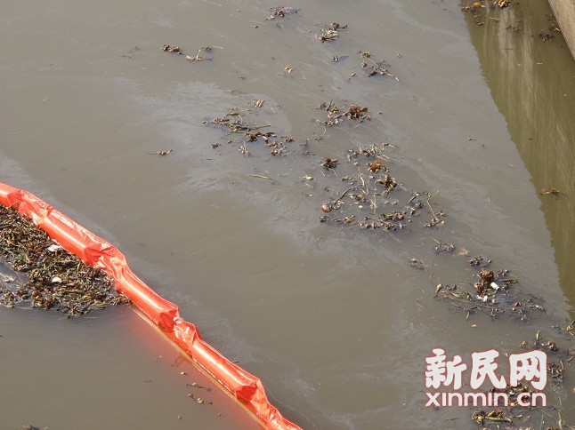 上海金山水污染事件:槽罐车违法倾污 3万