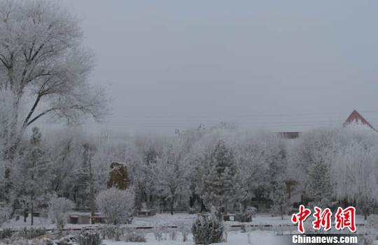 连日来，新疆博湖县出现低温雾霾天气，县城内出现雾凇奇观。 张建学 摄