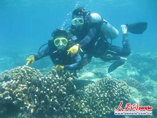 海南分界洲岛成为中国首个5A级海岛型旅游景