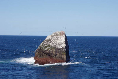 博雷岛以西187英里(约301千米)的罗科尔岛,是
