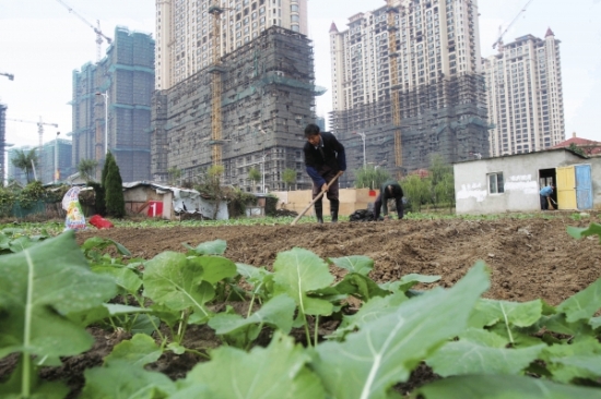 2011年11月11日,江苏南通,农民们在一片房地
