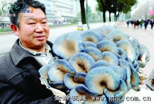 巨型核桃菌(组图)