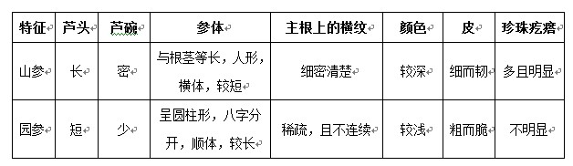 人参的真假鉴别及不同使用方式