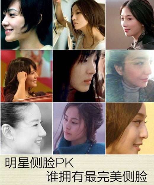 杨幂阿娇刘诗诗宋慧乔 女星绝美侧脸照pk(组图)