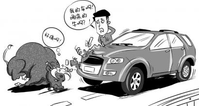 漫画姜宣凭; 车在囧途:黄牛高速路上肇事 车主很受伤自认损失; 黄牛