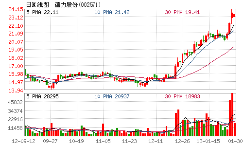 德力股份2012年净利9346万元 同比增逾七成(