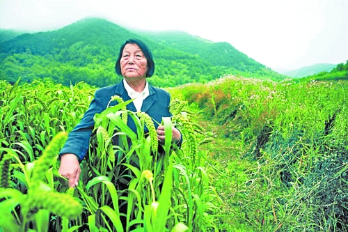 84岁申纪兰第十二次当选全国人大代表(组图)-搜狐滚动