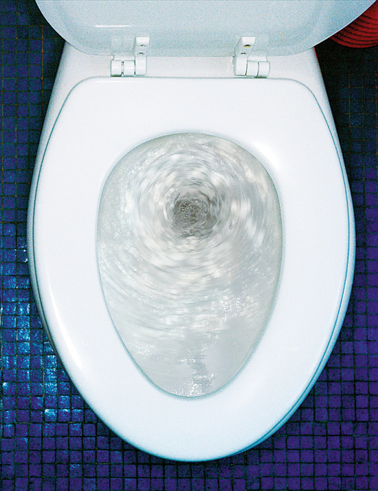 ˪   ŦԼѧ̩ŵʿָ,ˮʱͰ