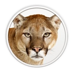 苹果美洲狮存在bug:输入8个字符会令应用崩溃