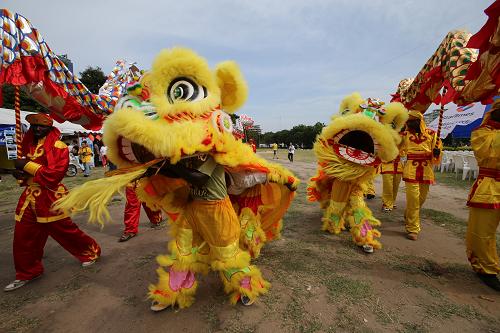坦桑尼亚举行中国新年庆祝活动(图)