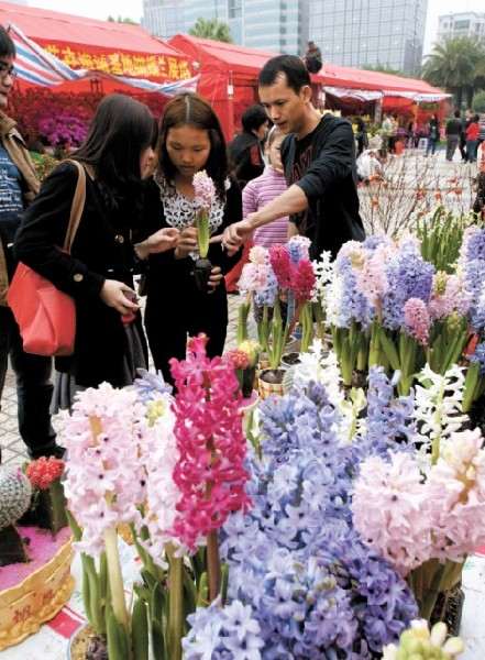 荔枝湾明天举行首届广州水上花市(组图)