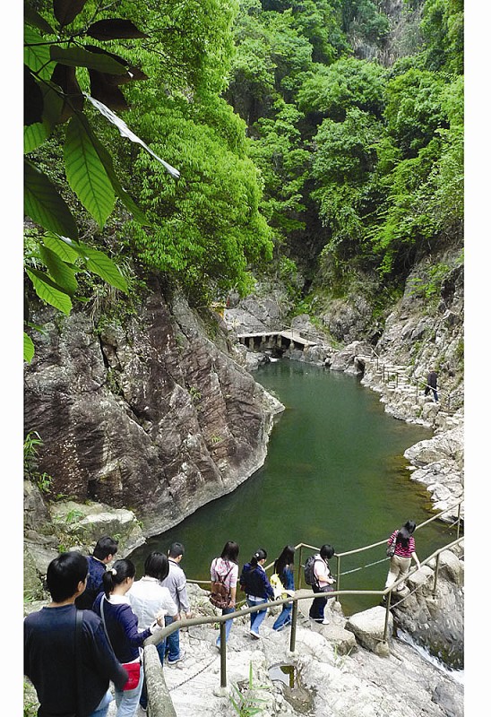 热带雨林野山谷(图)